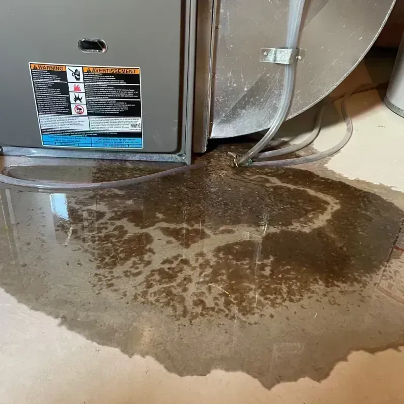 Appliance Leak Cleanup in Olathe, CO